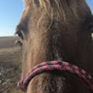 Meet your Posher, Madisyn